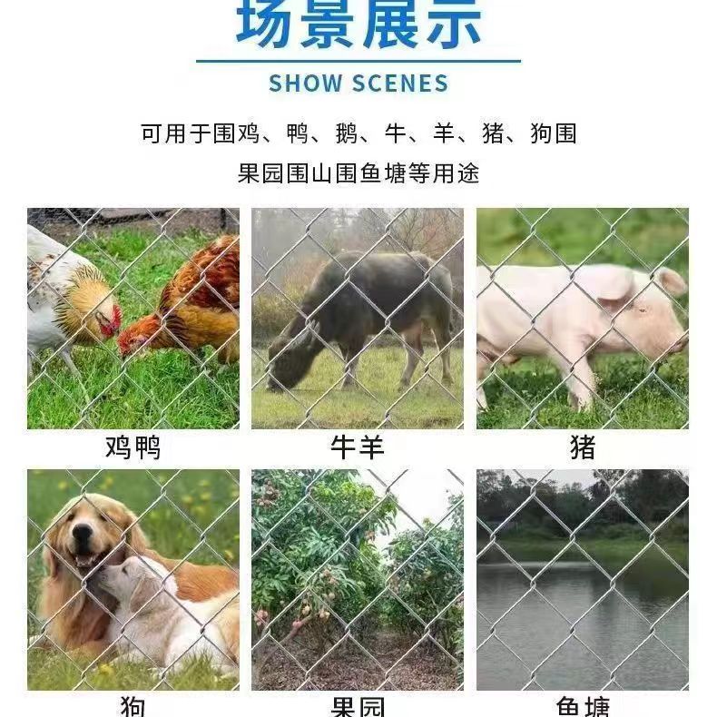 思顺养殖勾花网15503226713 (3).jpg